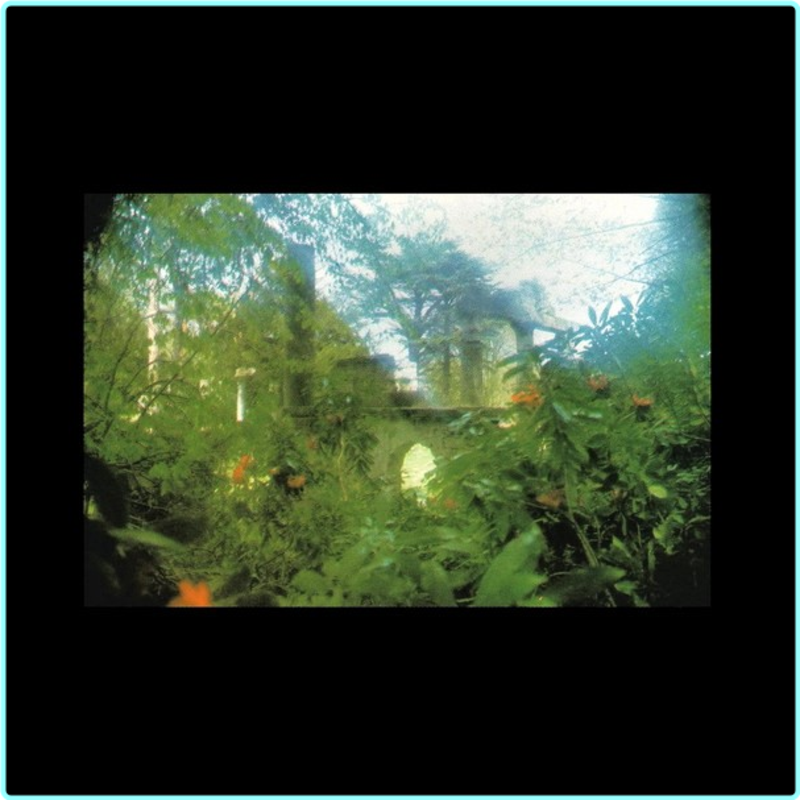 [Image: 3wb0xoy4oi5m.png]