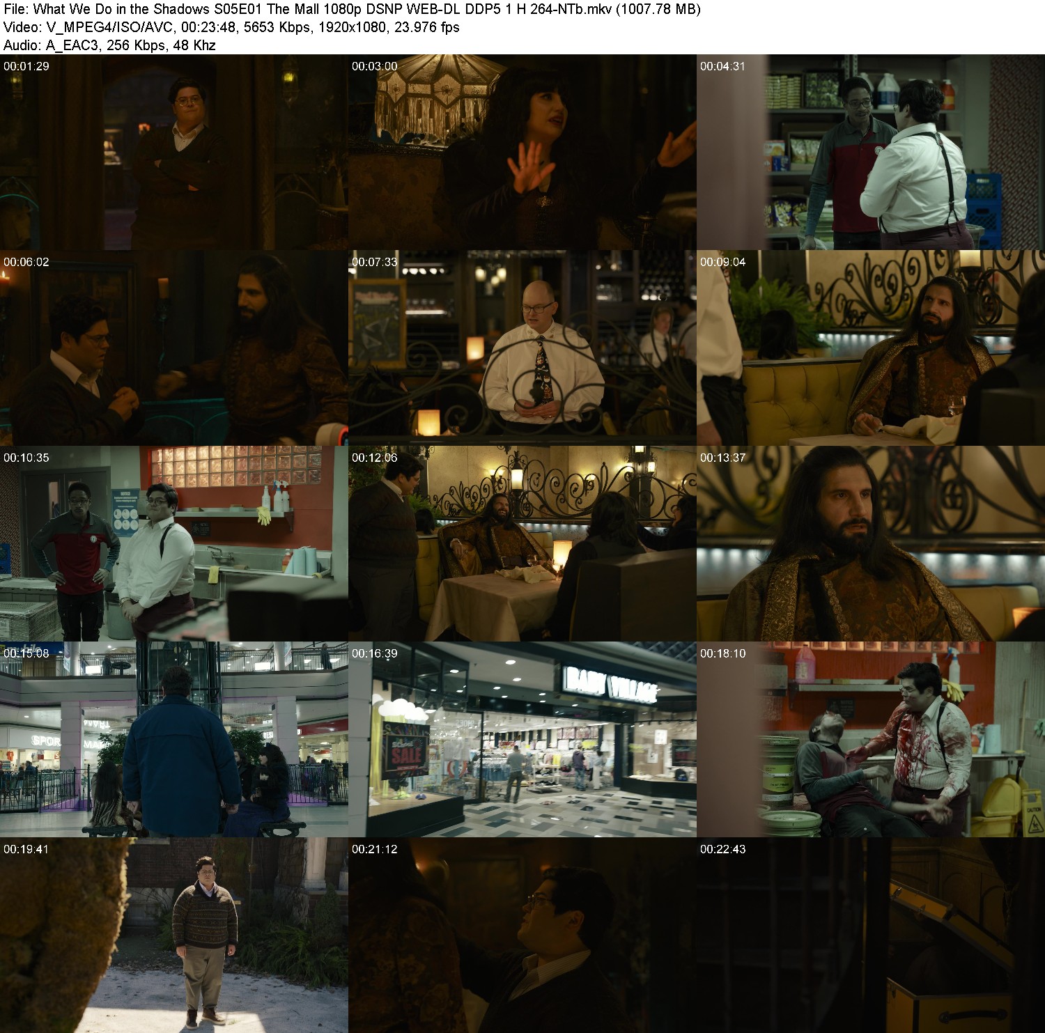 [Image: klh2x2jwdz65.jpg]