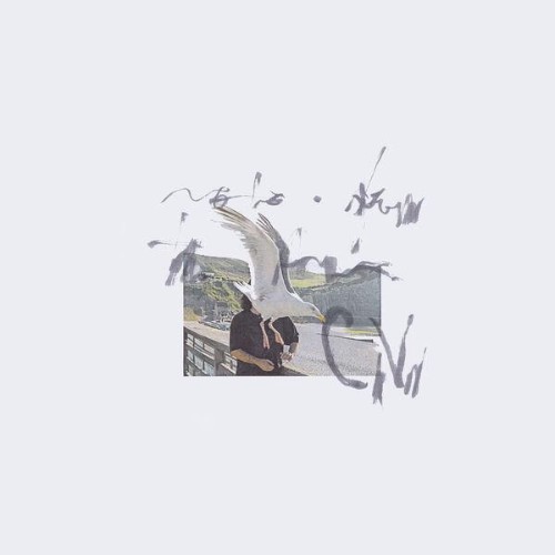 Ciro-Vitiello-notes-from-the-air-STRLP12