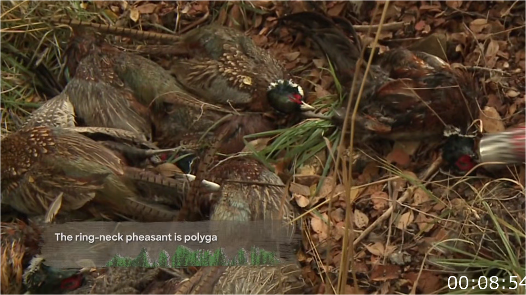 [Image: gxrr036v3obd.png]