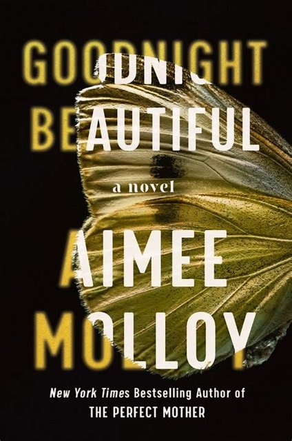 Book Review: Goodnight Beautiful by Aimee Molloy