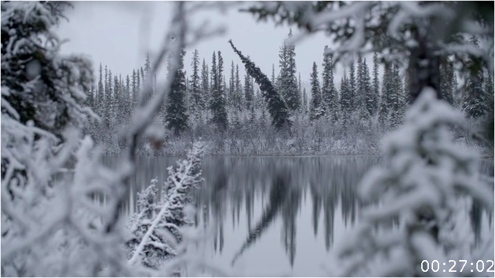 [Image: mdha2o5t7r8y.png]