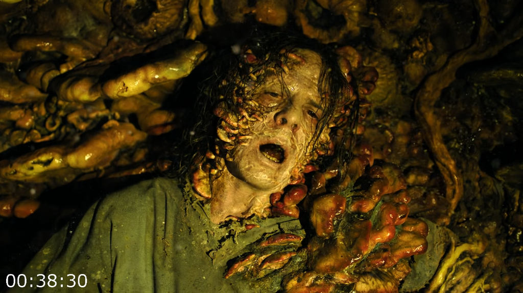 [Image: kb8phhom362t.png]