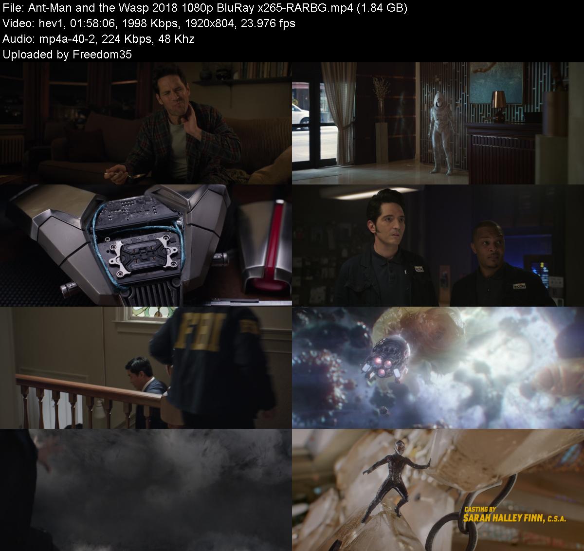 Ant-Man-and-the-Wasp-2018-1080p-Blu-Ray-