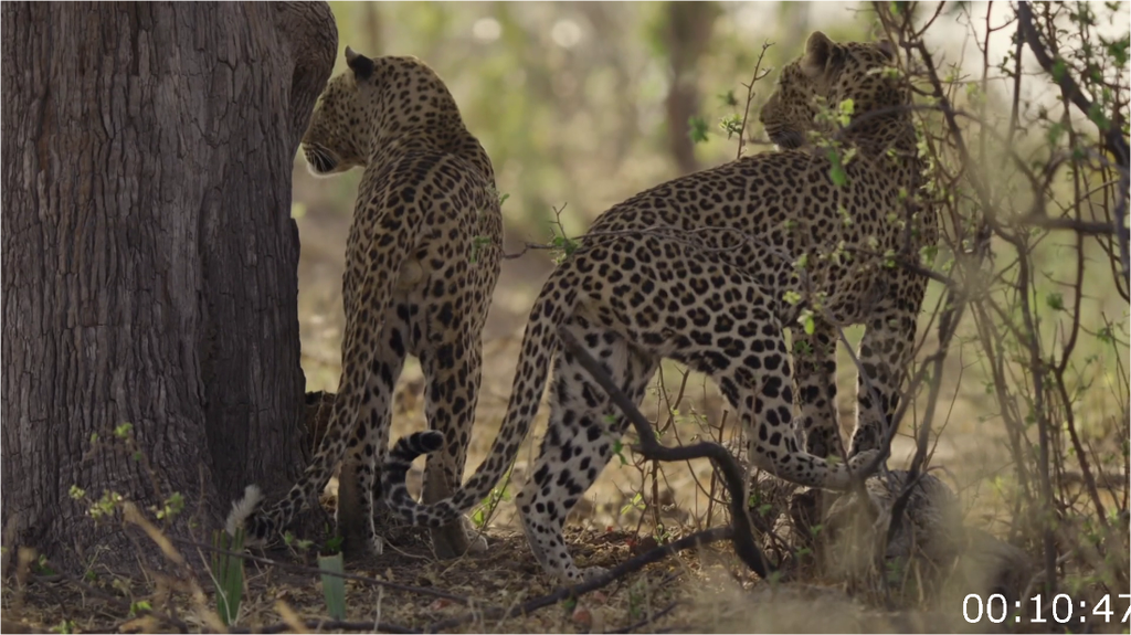 [Image: s17eo0wh8pyk.png]