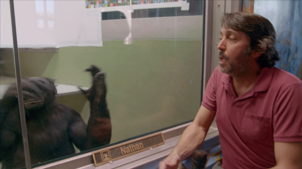 [Image: fuuk21fq81kw.png]