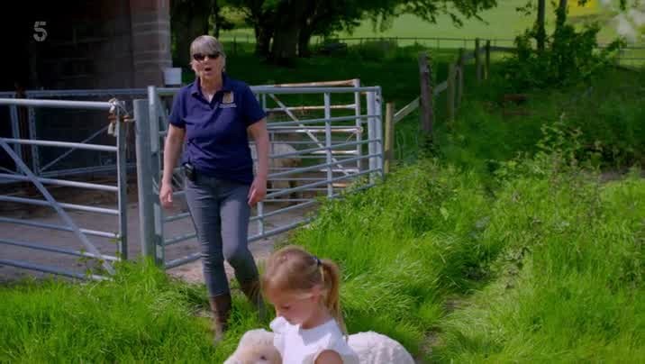 [Image: 0j5a1p4tqvey.jpg]