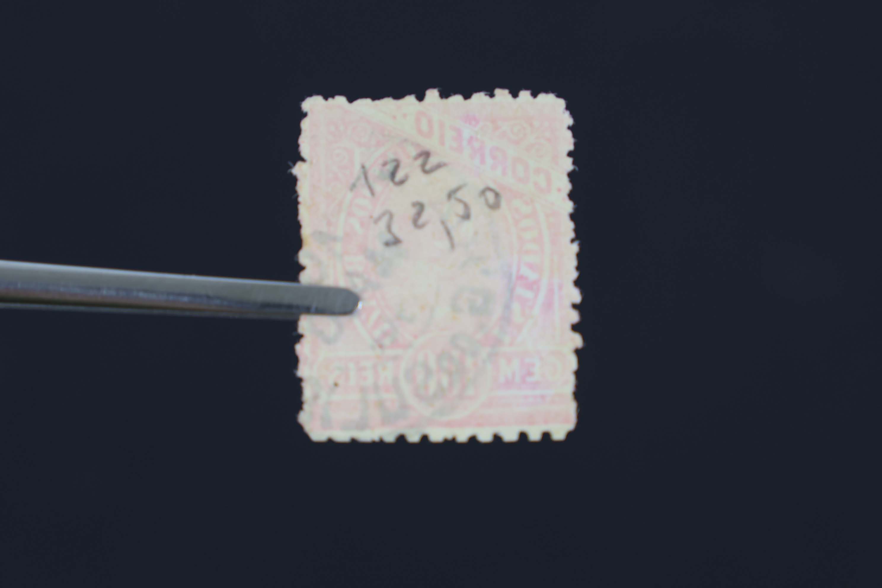 IMG-6472-1-(8)