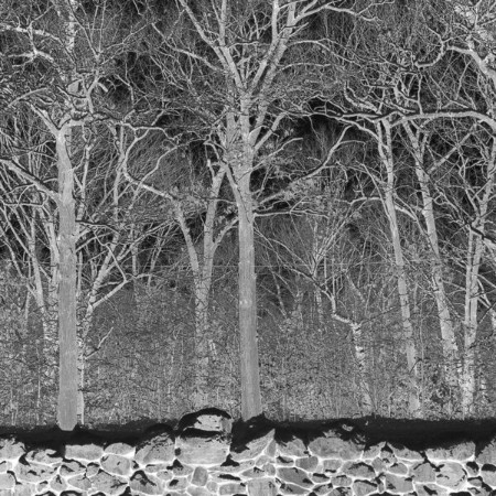 Pile - Sunshine and Balance Beams (2025)