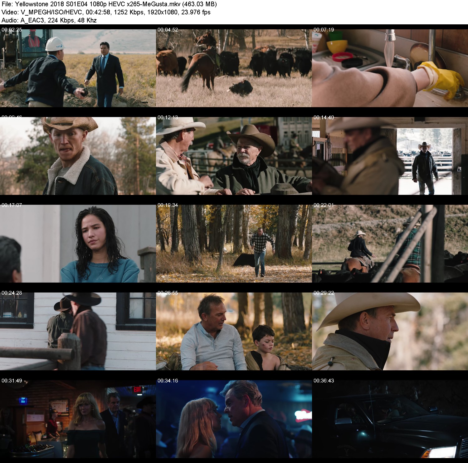 [Image: 0oyfkfd2n80p.jpg]