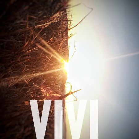 SUMERO - VIVI (2025)