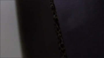 [Image: Voyeur16985075547.jpg]