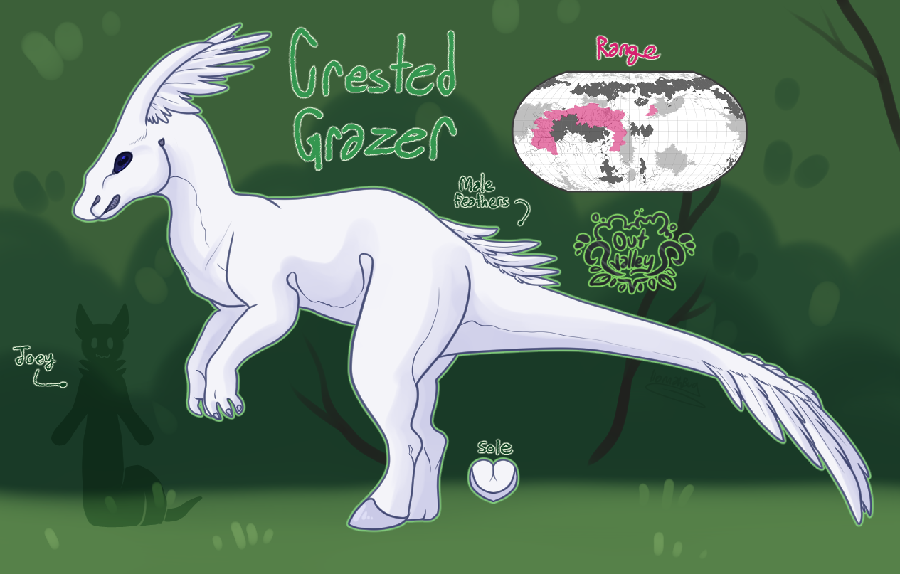 Crested-Grazer.png