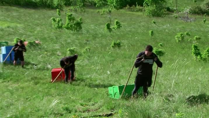 [Image: 0dmw71ywabb6.jpg]