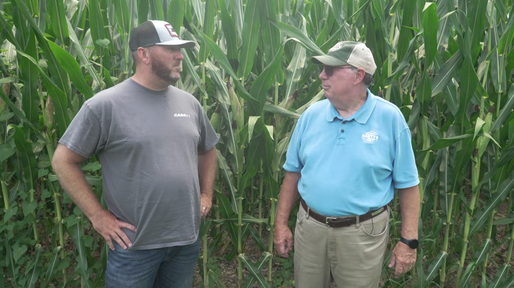 [Image: oz2ch79qts0v.png]