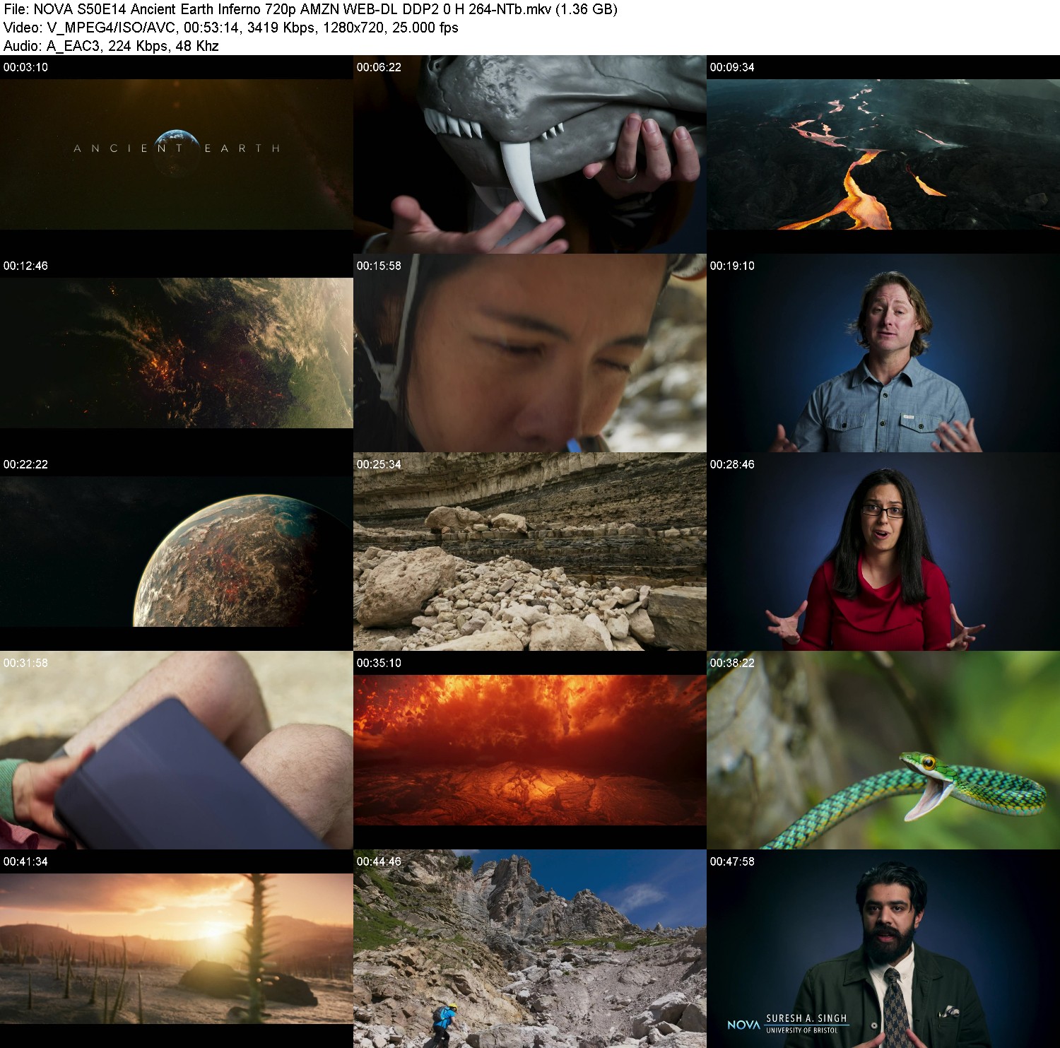 [Image: jn0lajf5iu79.jpg]