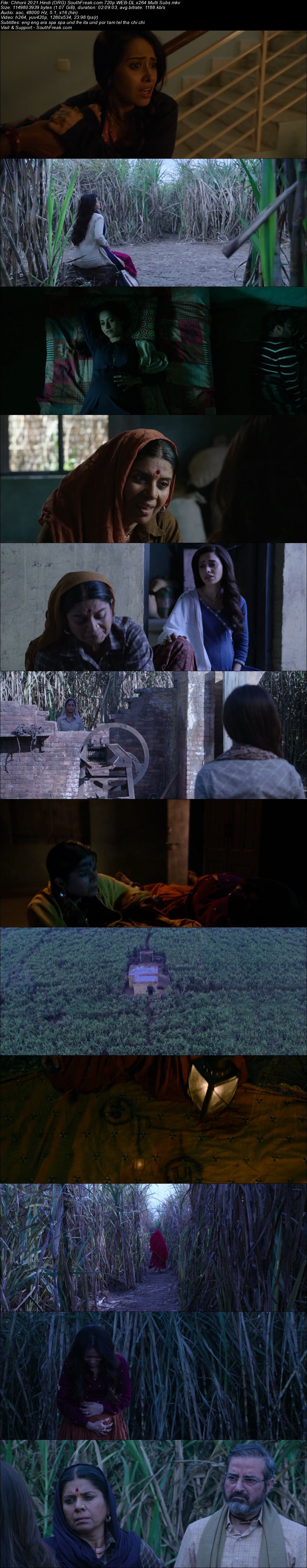 Chhorii 2021 Hindi ORG South Freak com 720p WEB DL x264 Multi Subs - hdhubflix, hubflix, hdmovieshub, allmovieshub