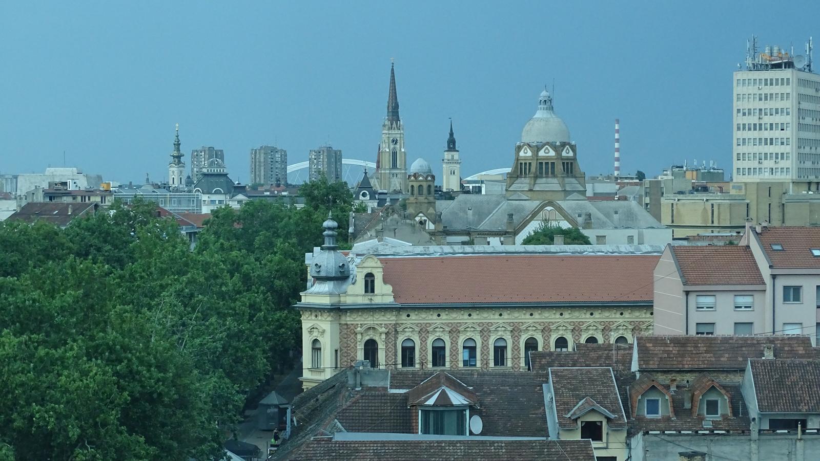DSC02012.jpg
