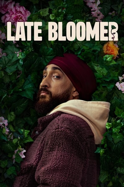 Late Bloomer S01E08 The Comedown 720p AMZN WEB-DL DDP5.1 H 264-NTb