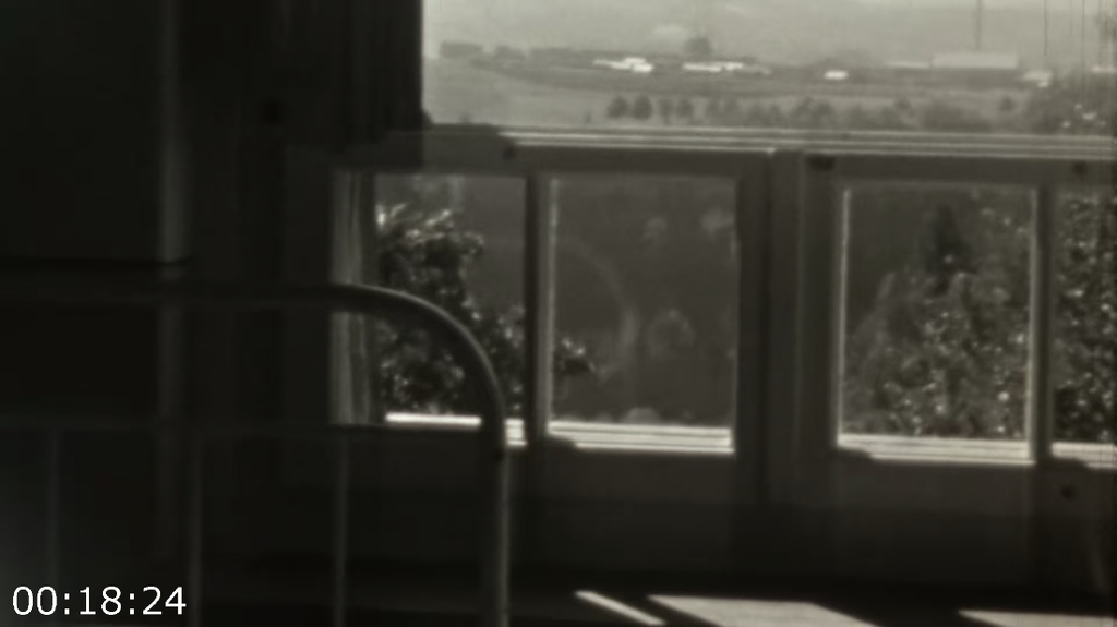 [Image: is055eudngo2.png]