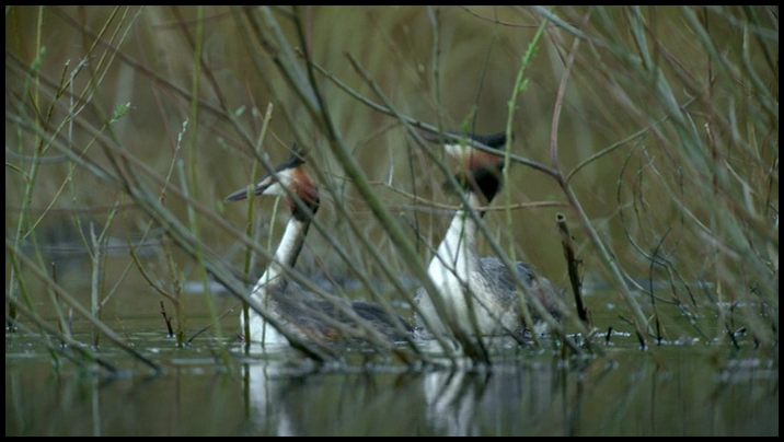 [Image: 6axk5hcinw54.png]