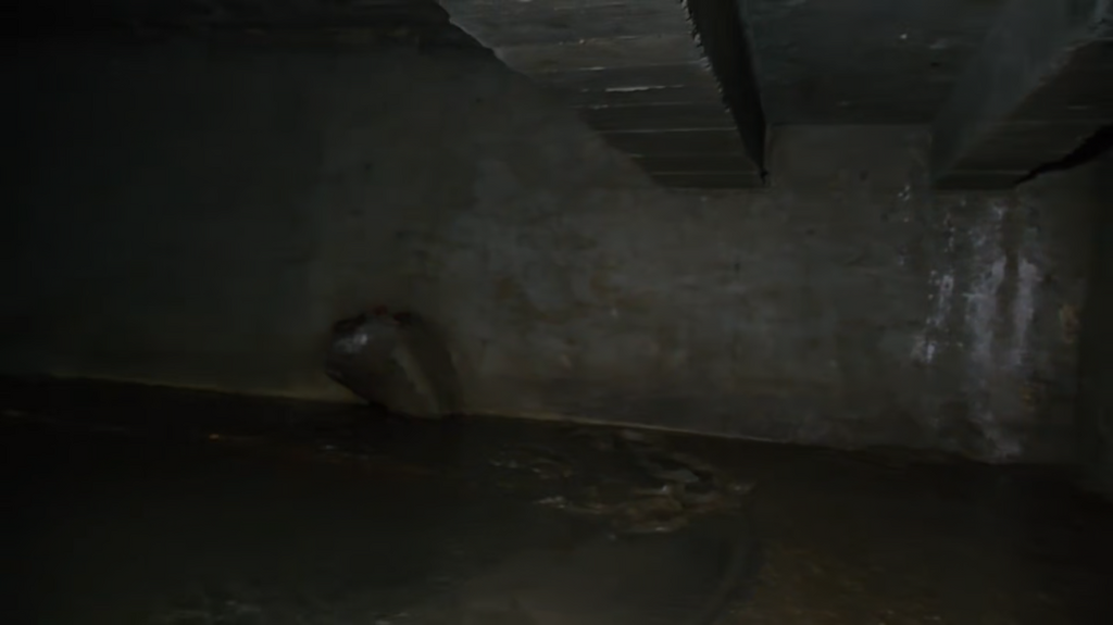 [Image: f07bsd4zr1hs.png]