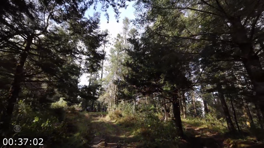 [Image: au3h1fspo37b.png]