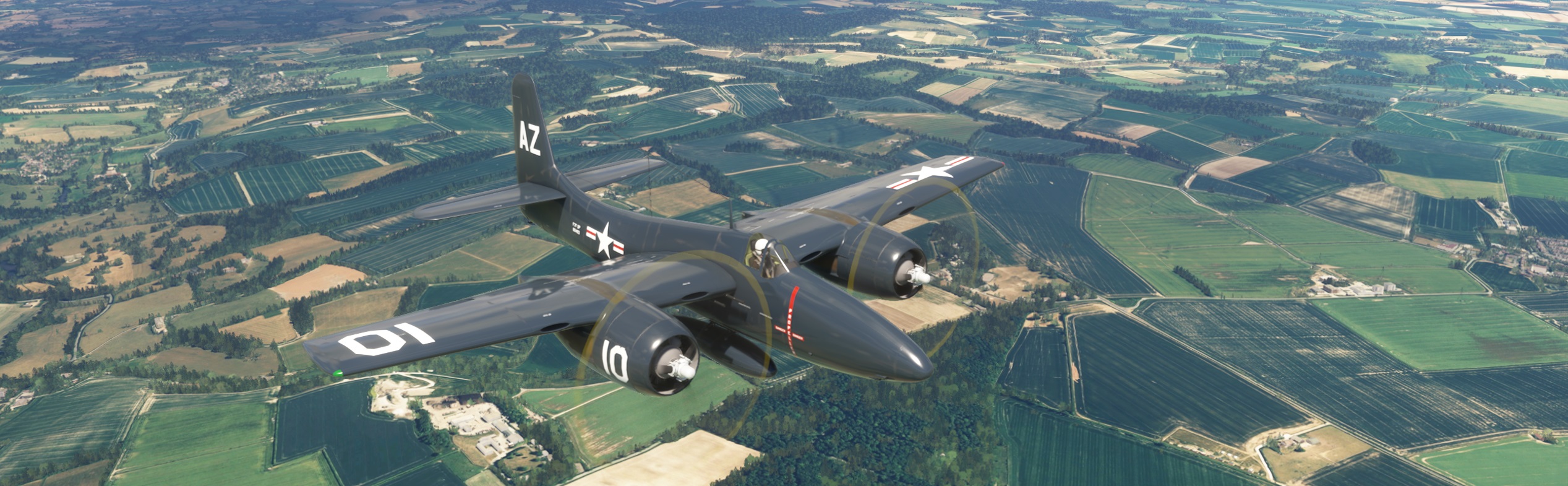 Tigercat-CA.jpg