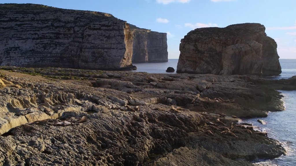 [Image: 7pz75gjcifu9.jpg]