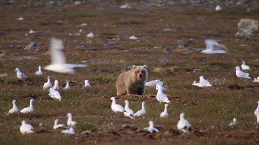 [Image: udx49r2x3bgn.jpg]