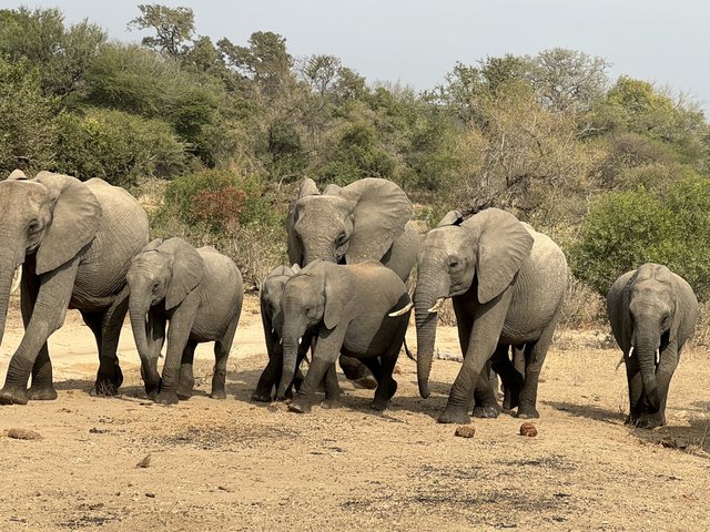 [Linked Image from i.postimg.cc]