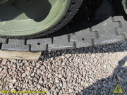 IMG-3370