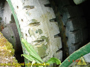DSCN0166