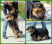 Be-Funky-collage-15.jpg&key=87116dcc3d22