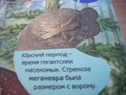https://i.postimg.cc/rd7BN4xd/100-8647.jpg