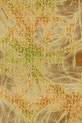 8dd00493a0a3