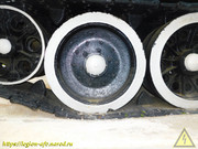 DSCN8561