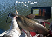 [Image: BIGGEST.jpg]