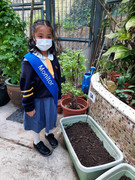 photo-littlefarmer2223-1A-011