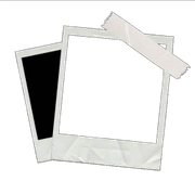 c892837fcd07381402fbbe46a1f6b77aaf238f28