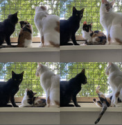 8021468C-ACB4-404E-B1C7-A17BAD5559D9