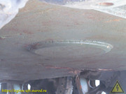 IMG-8871