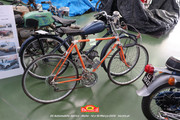 IMG-5910