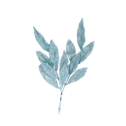 Bronze-Christmas-Elements-32