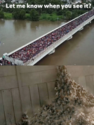 cfbd790cf2c0bef794a84cd894586ceb4859d2879116b44f5839fd2d25d7eb92