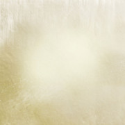 Z-Beautiful-Xmas-Papers-6