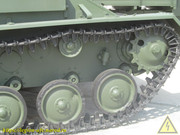 IMG-8142