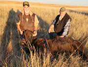 [Image: Gals-South-dakota-buffalo.jpg]