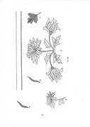 Krasichkova-Khudozhestvennoe-vyshivanie-131