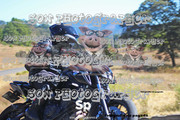 IMG-2377